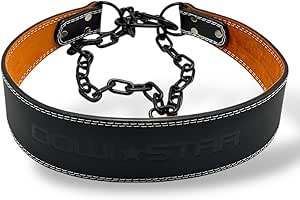 Steel Hanging Weight Belt